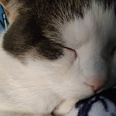 wolowich@thecanadian.social