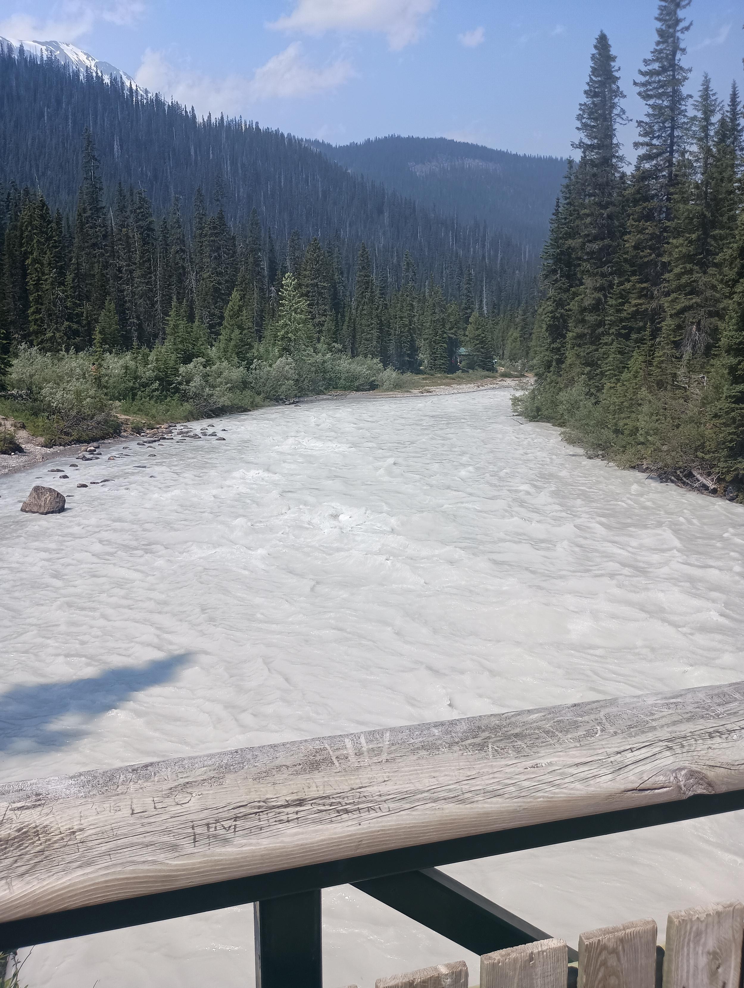A closer view of the milky Yoho River, taken from the bridge, as it winds through the pine forest. On the outside edge of the curve there is a large boulder (the size of a small boulder) and some cobbles peaking out of the water.