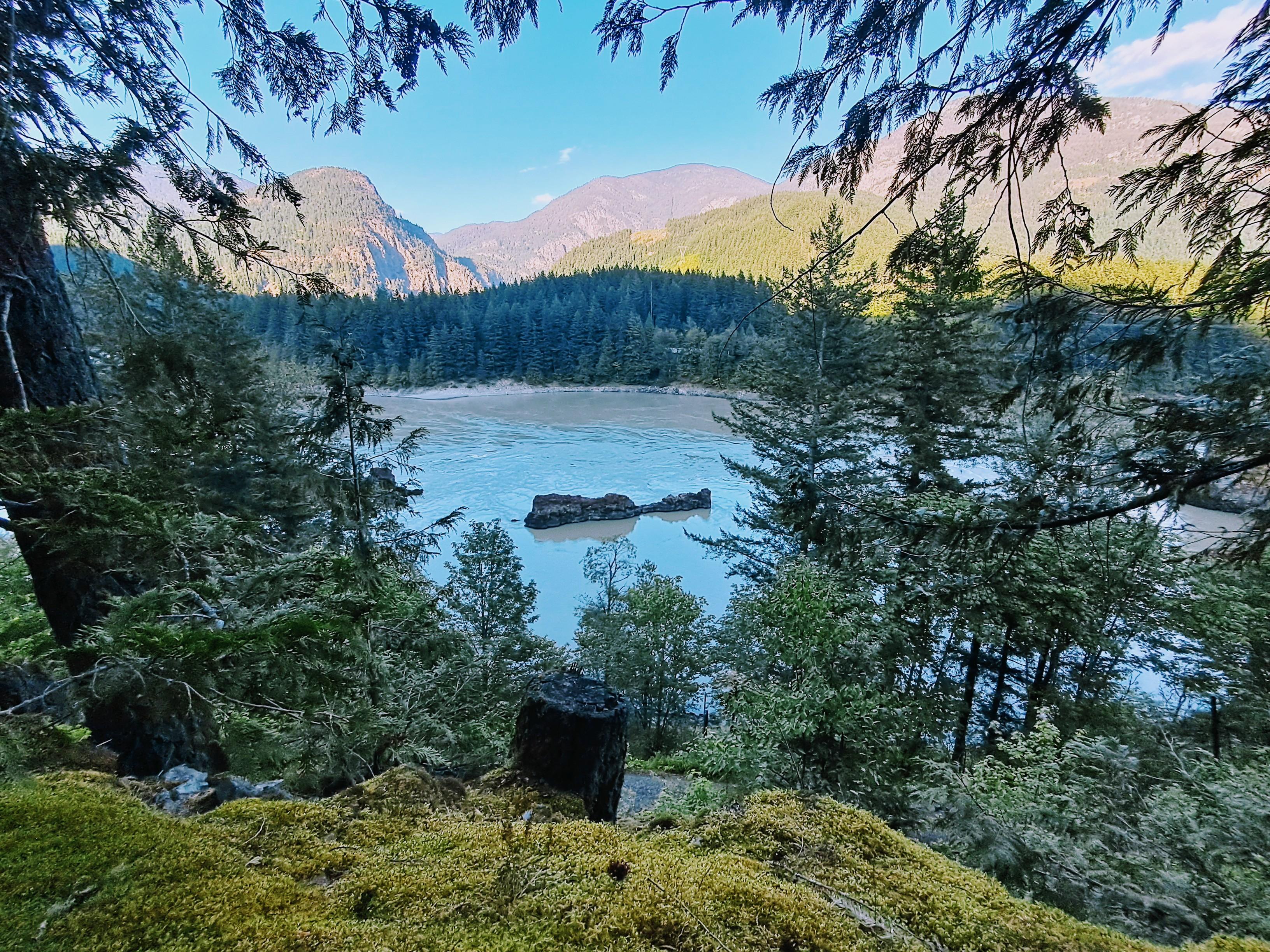 Overlooking the river on 2 feet of moss where a old highway used to be