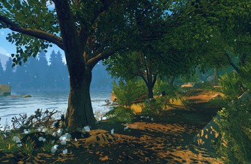 Firewatch photo thumbnail