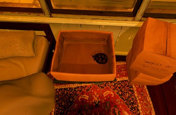 Firewatch photo thumbnail