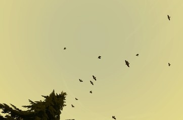 Firewatch photo thumbnail