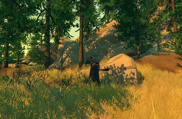 Firewatch photo thumbnail