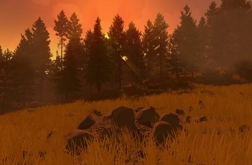 Firewatch photo thumbnail