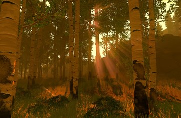 Firewatch photo thumbnail