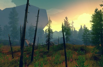 Firewatch photo thumbnail