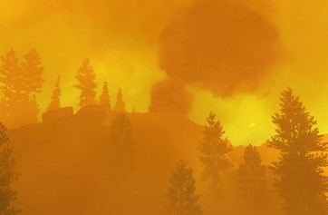Firewatch photo thumbnail