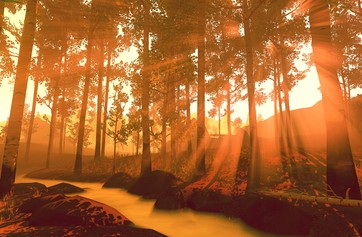 Firewatch photo thumbnail