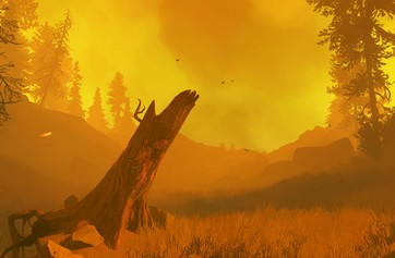 Firewatch photo thumbnail
