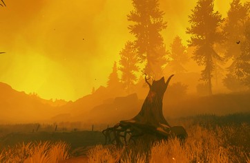 Firewatch photo thumbnail