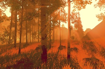Firewatch photo thumbnail