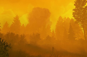 Firewatch photo thumbnail