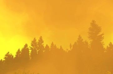Firewatch photo thumbnail