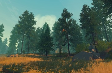 Firewatch photo thumbnail