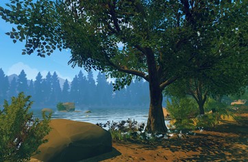 Firewatch photo thumbnail