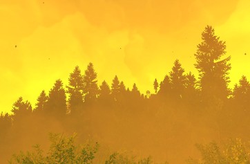 Firewatch photo thumbnail