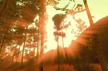 Firewatch photo thumbnail