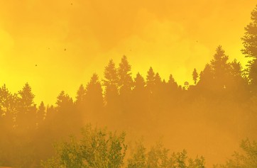 Firewatch photo thumbnail