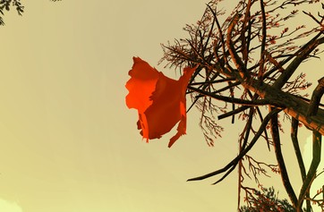 Firewatch photo thumbnail