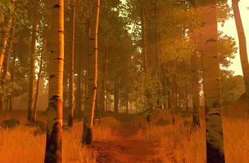 Firewatch photo thumbnail