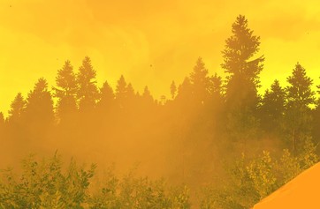 Firewatch photo thumbnail