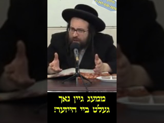 היטן קינדער פורים
