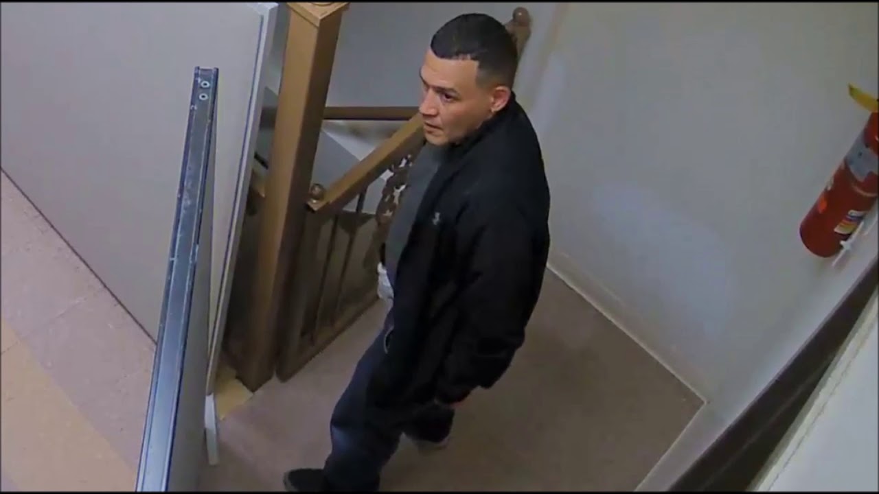 NYPD Looking For Boro Park Burglar