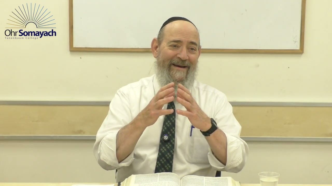 Reincarnated Horse - Nasso (Rabbi Dovid Kaplan) (Weekly Parsha)