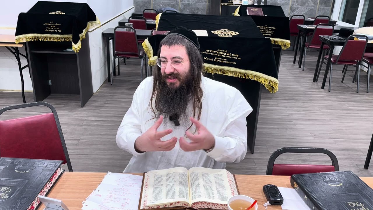Harav Chaim Ozer Geldzahler, Navi Shmuel 1.18