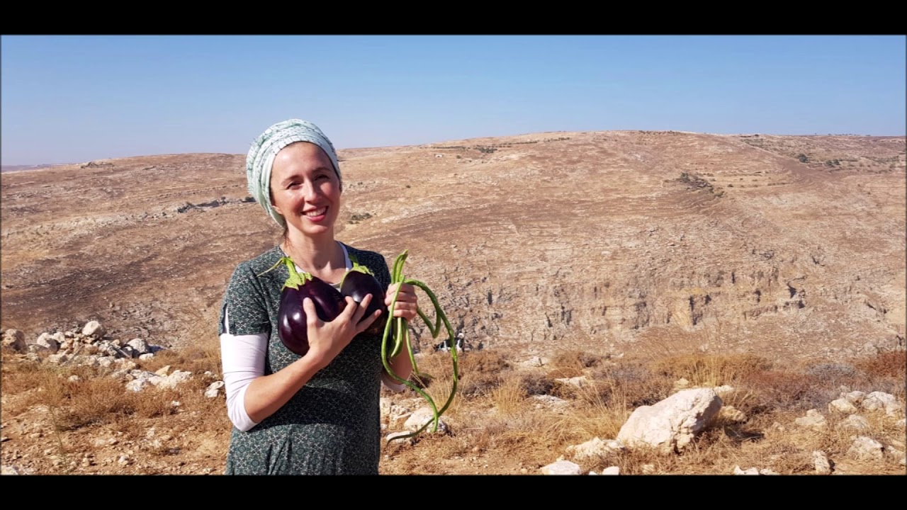 The Judean Experiment: Ep.2 – Can We Live A Guided Life?
