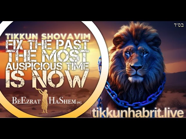 SHOVAVIM Money & MaShiach
