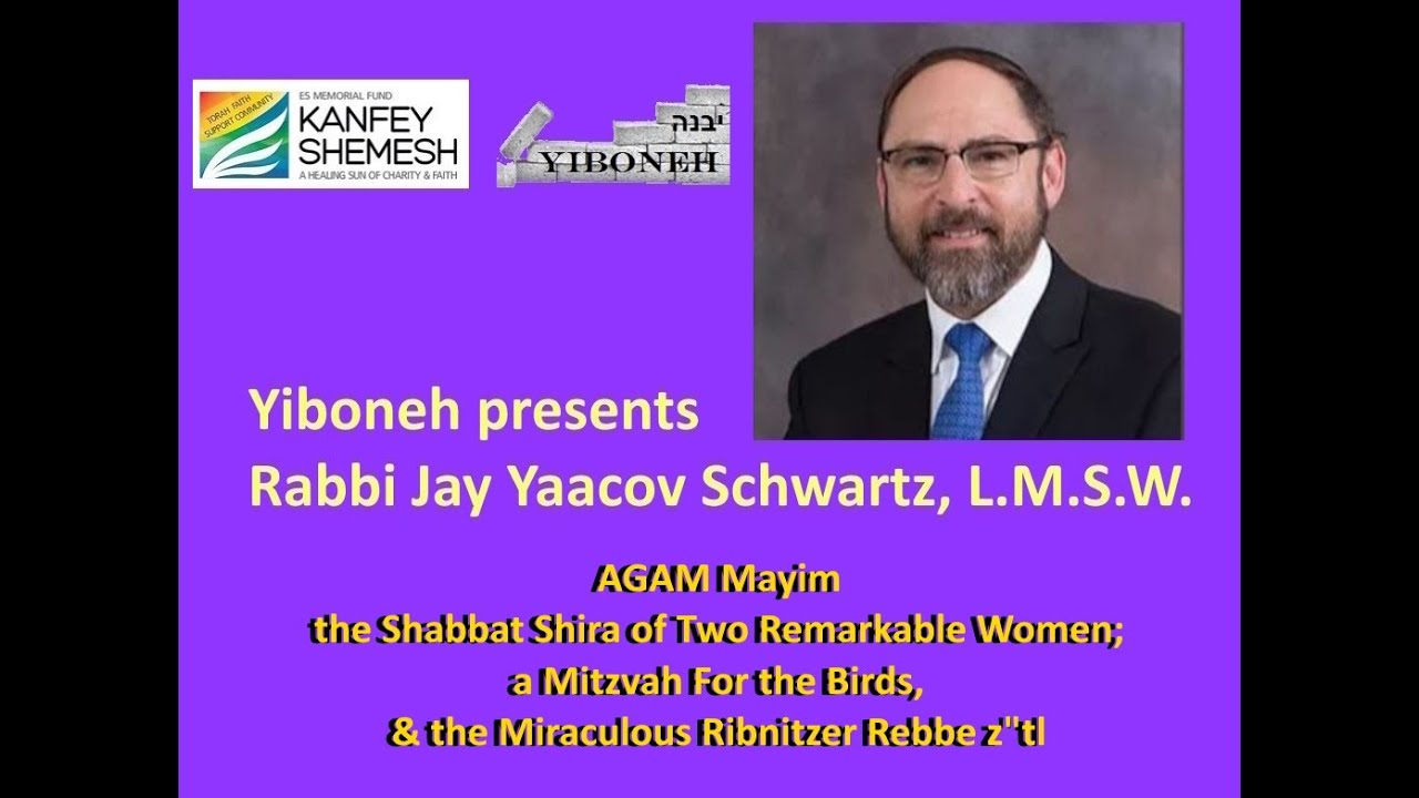 Parshat Beshalach: AGAM Mayim - the Shabbat Shira of Two Remarkable Women; a Mitzvah For the Birds