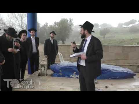 Journey to the Galilee: Almah - The Kever of Rebbi Eliezer Ben Azariah