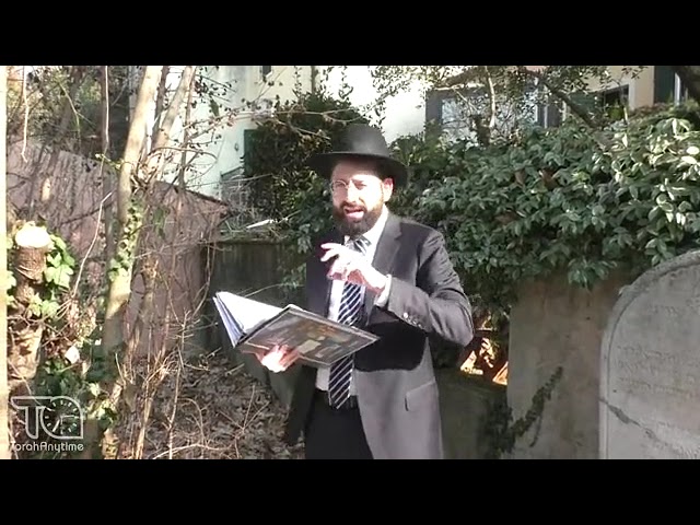 Journey to Italy 2024: Padua - The Kever of Rav Moshe Dovid Valle, Rama"d Valle