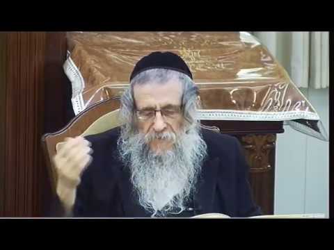 מאמר יסודי תורה אור פרשת וירא מאמר ד"ה פתח אליהו חלק א הרב מנדל ווכטר