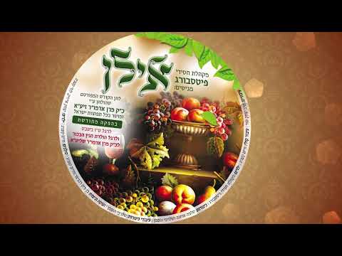 אילן במה אברכך - פיטסבורג