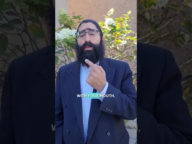 Torah Minuet: Dear to the Heart, Near to Your Reach!