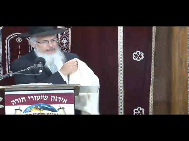 New Shatnez Findings - Rabbi Yosef Sayagh