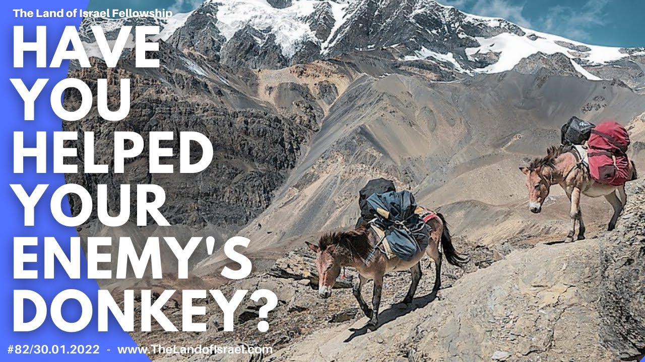 Have You Helped Your Enemy's Donkey? - Ari Abramowitz: The Land of Israel Fellowship