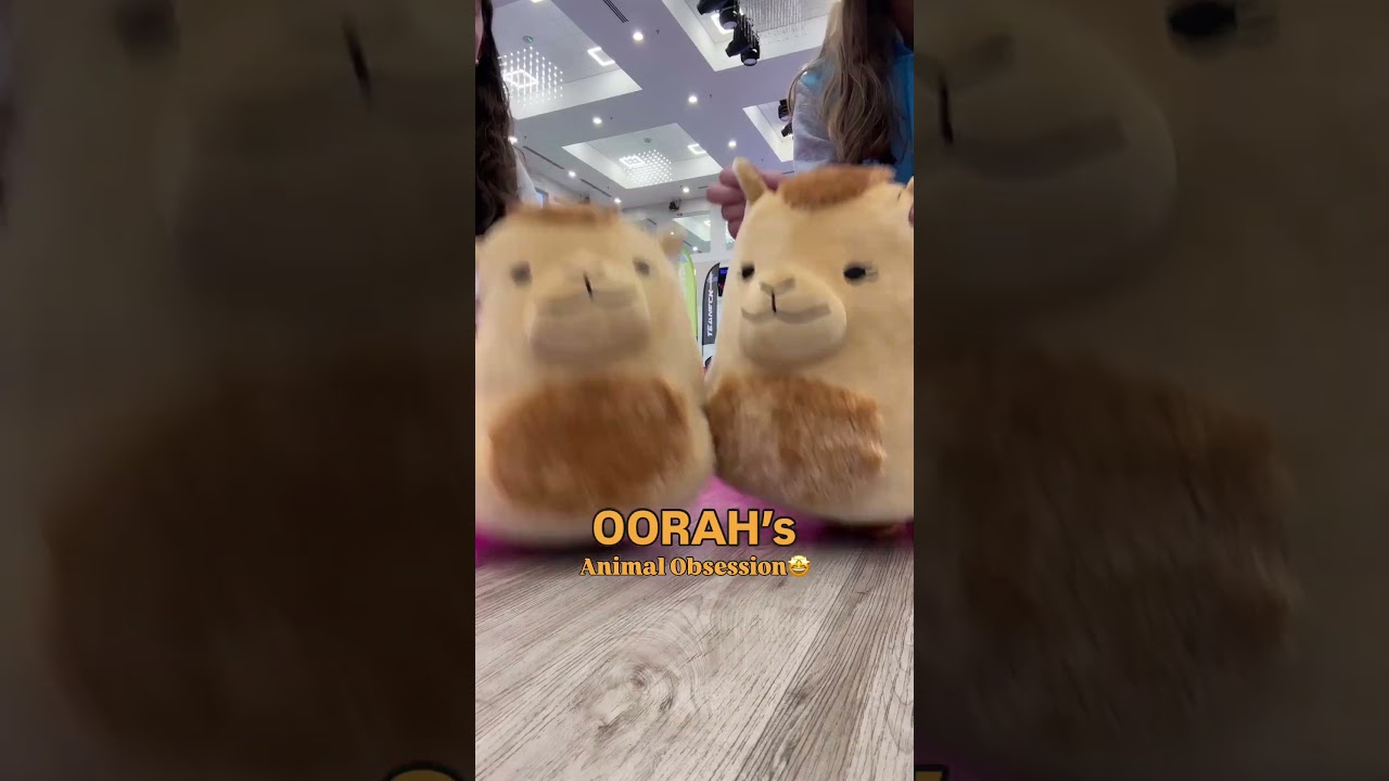 Popular theme at Oorah… once we’re hooked, we go crazy!😆🐫#animallovers #oorahfamily #shteigers