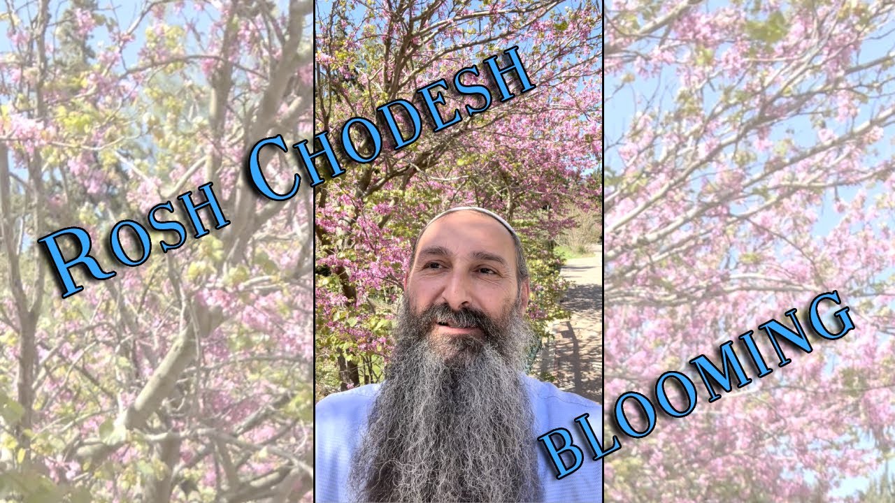 A small step to freedom - Rosh Chodesh blooming & blessings - Rabbi Alon Anava