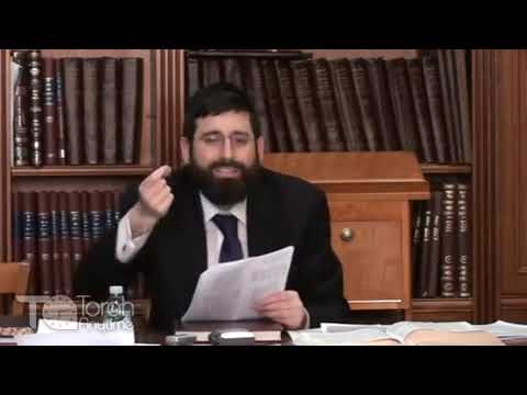 Parshas Va'eira: Barad Like Never Before – The Blood Curdling Details According to the Malbim
