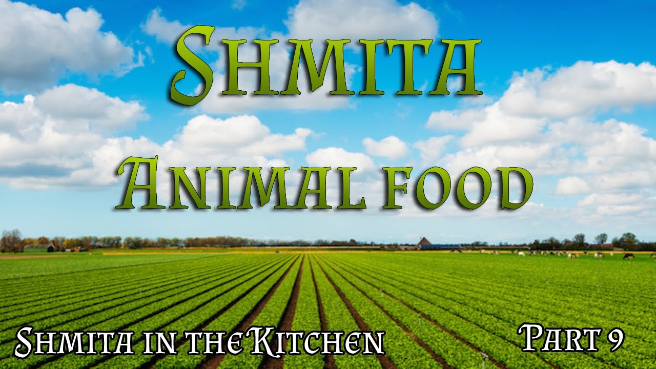 Shmita in the kitchen | Part 9 - Dealing with animal food