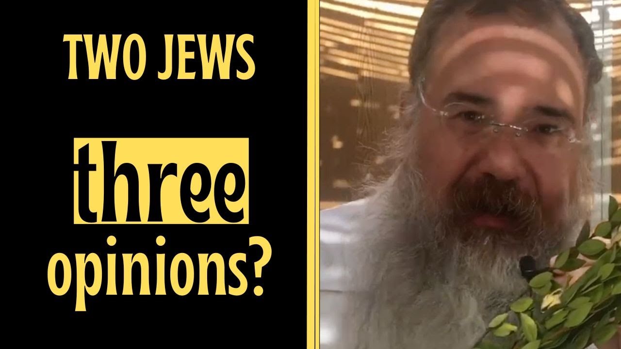 Shake your MIND up | the secret of the lulav and Jewish thinking
