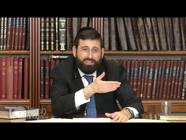Beha'aloscha: The Rambam on the Lighting of the Menorah & the Novelle of the Rogotchover - Part 2