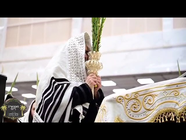 הרבי מ'סאטמאר שליט"א