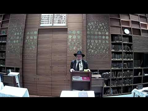 Rav Nota Schiller - Hoshanah Rabbah - "The Somatic Ante"