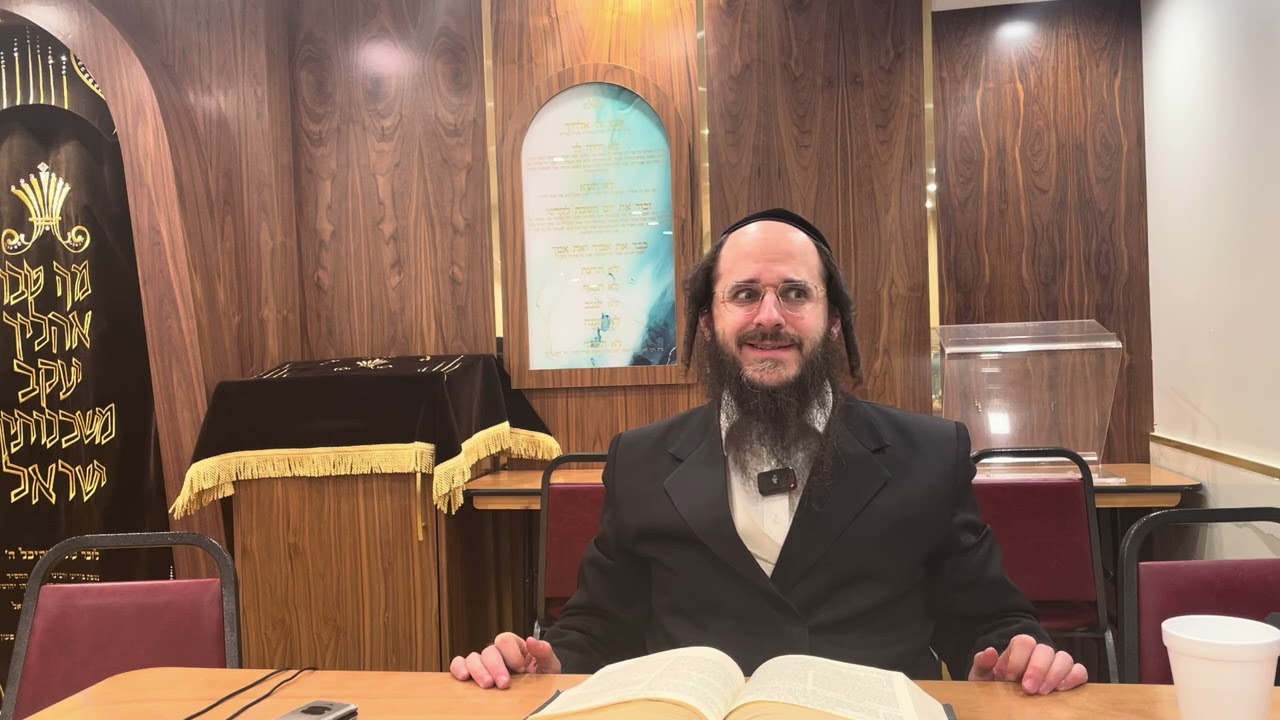 Mishnah Berurah 303 “jewelry in r’shus harabim” Rabbi Yosef Halpert