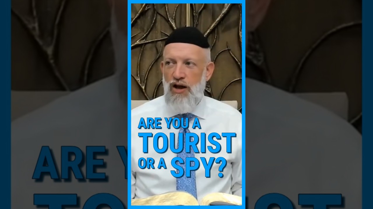 Are you a TOURIST or a SPY?