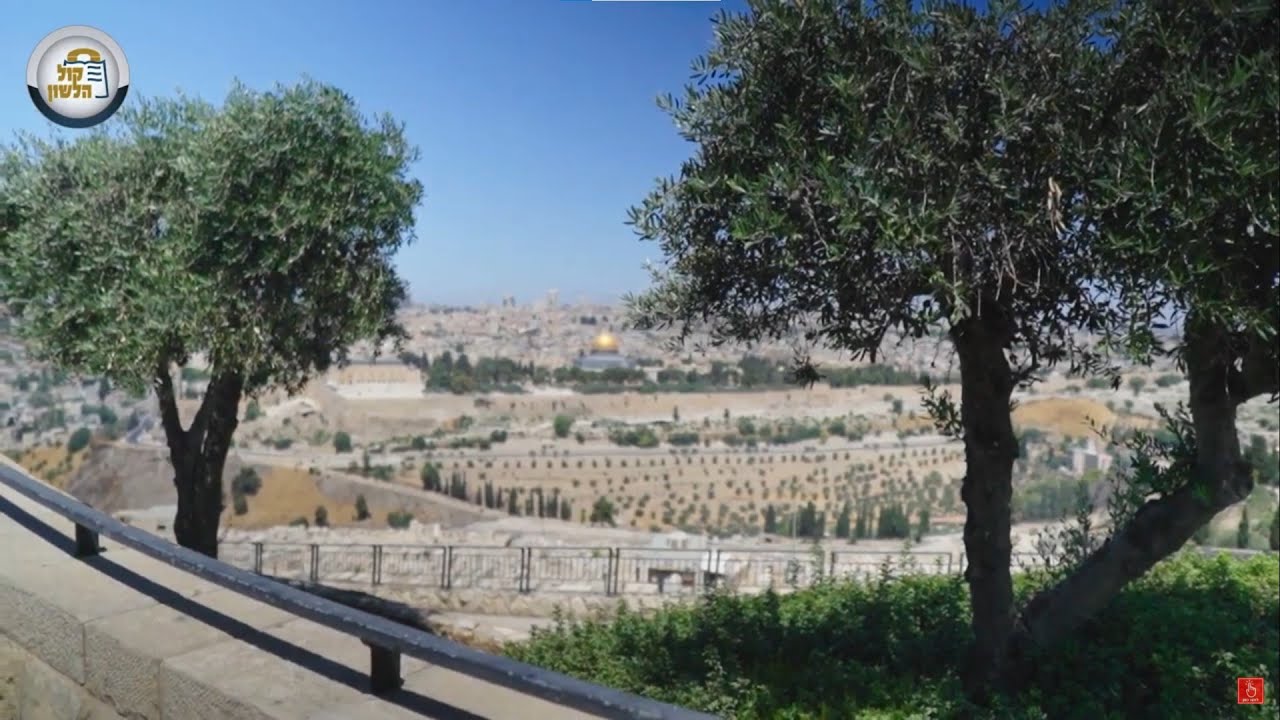 הר הזיתים - לשם גלתה השכינה | חלונות מירושלים {13} - Windows from Jerusalem
